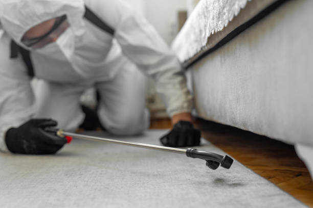 Professional Pest Control technician working in Mayfair, CA