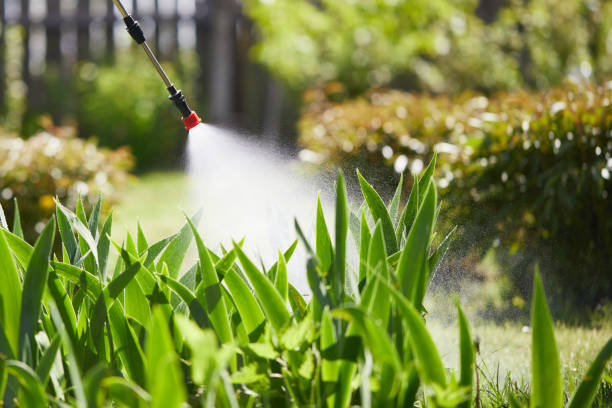 24/7 Emergency Pest Control experts in Mayfair, CA