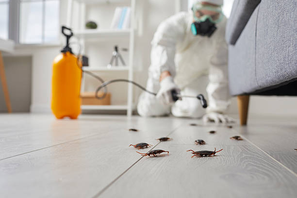 Affordable Pest Control solutions in Mayfair, CA